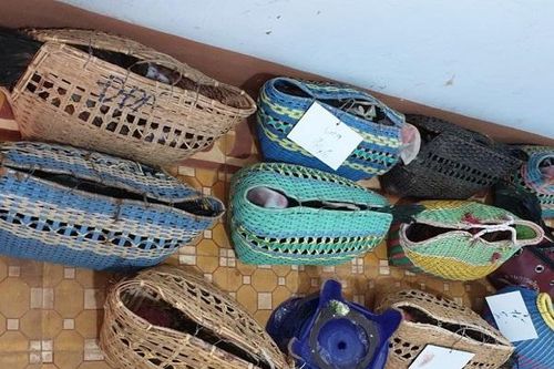 Gia Lai: Bắt quả tang 33 đối tượng tổ chức đá gà ăn tiền