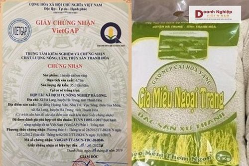 Thanh Hóa: 17 sản phẩm được công nhận sản phẩm OCOP năm 2020