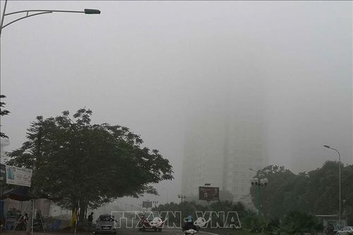 Đêm 24/2, Bắc Bộ có sương mù, trời rét