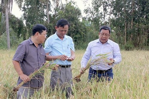 Quyết tâm cao nhất không để xảy ra cháy rừng
