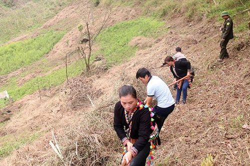 Phòng 'giặc lửa' mùa cao điểm làm nương