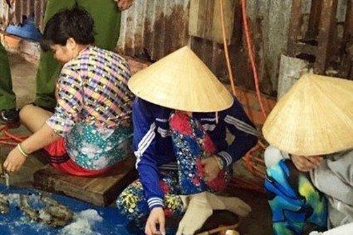 Phạt người thu gom, vận chuyển 627kg tôm sú tạp chất 70 triệu đồng