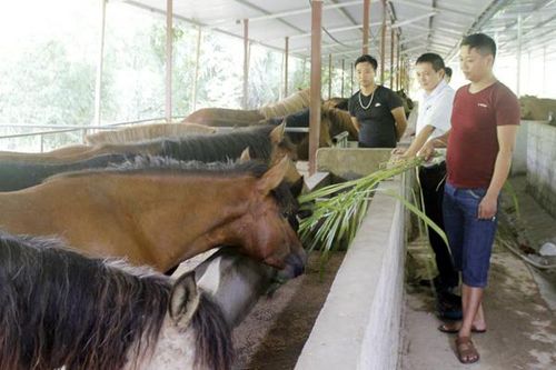 Giúp nông nghiệp địa phương 'cất cánh'