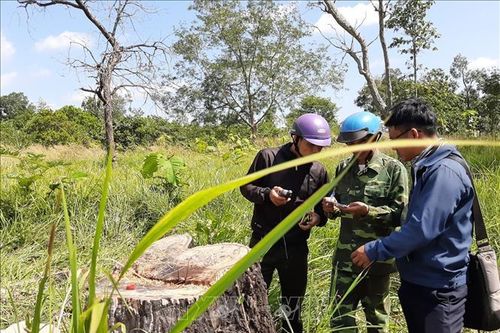 UBND huyện Chư Prông kiểm điểm trách nhiệm vì để mất hơn 15.000 ha rừng