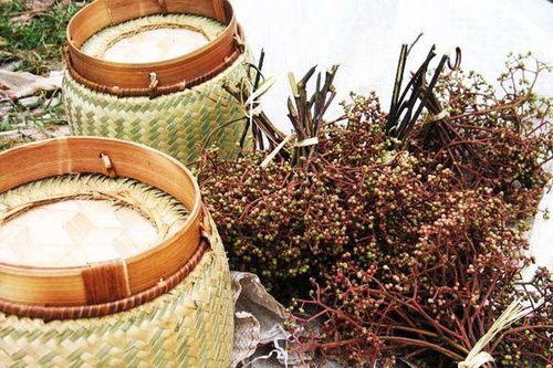 Đệ nhất gia vị Tây Bắc