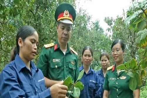 Đa dạng mô hình giúp phụ nữ người dân tộc thiểu số