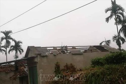 Trên 300 ngôi nhà ở Sơn La bị hư hại do mưa đá, dông lốc