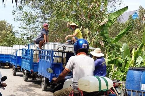 Vườn cây ăn trái miền Tây có nguy cơ biến thành…củi