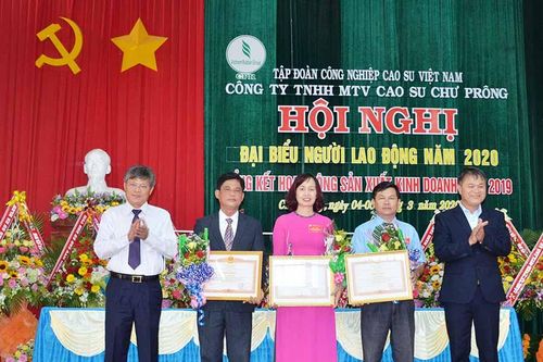 Công ty Cao su Chư Prông: Phấn đấu thu nhập đạt trên 5,2 triệu đồng/người/tháng