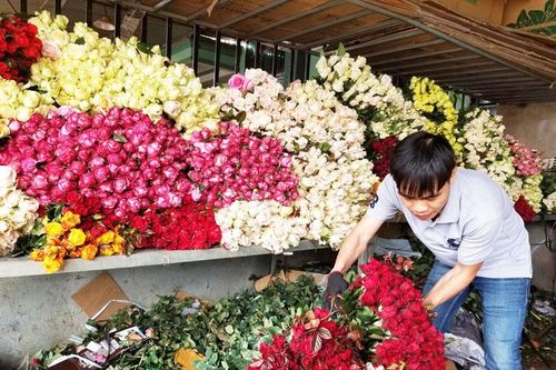 Cận lễ 8/3, giá hoa hồng giảm 50% so với cùng kỳ năm trước