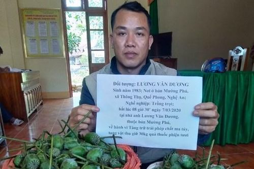 Phát hiện vụ tàng trữ 30kg quả thuốc phiện