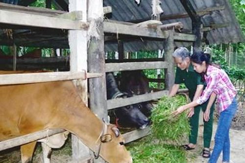 Chia sẻ yêu thương, đồng hành vượt khó