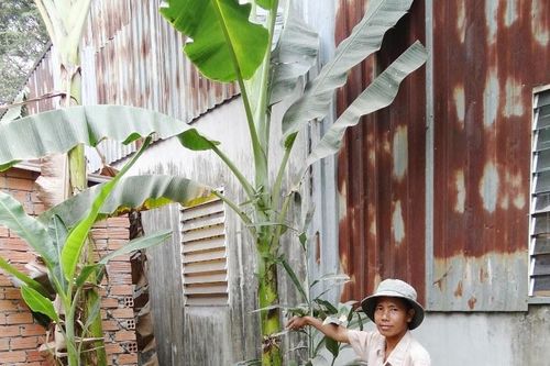 Yêu cầu tách phần đất ông bà cho bị chiếm dụng