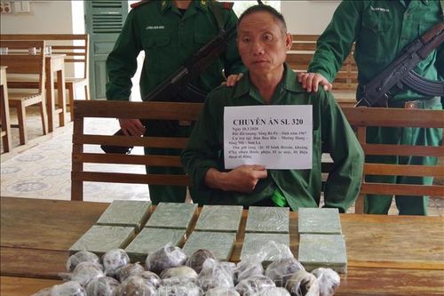 U60 nhận 5 triệu đồng để vận chuyển 10 bánh heroin, 7 kg thuốc phiện