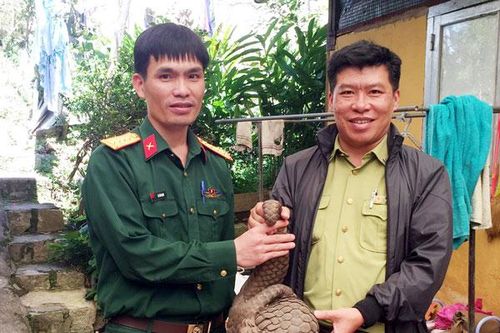 Khẩn trương soạn thảo Chỉ thị nghiêm cấm mua bán, tiêu thụ động vật hoang dã
