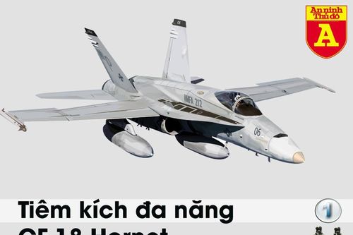 Tiêm kích CF-18 Canada bay vọt lên chặn 'gấu già' Tu-142