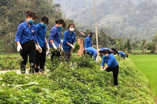 Tuổi trẻ Tuyên Quang thực hiện hàng trăm công trình, phần việc thanh niên