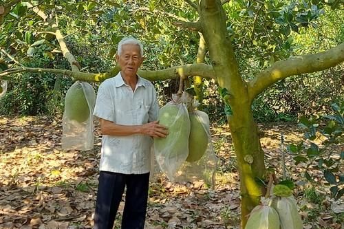 Cựu chiến binh làm kinh tế giỏi