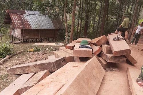 Phát hiện, thu giữ nhiều khối gỗ khai thác trái phép cất giấu ở bìa rừng