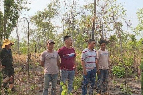 Nhóm đối tượng rủ nhau vào rừng hủy hoại gần 2ha chiếm đất làm nương rẫy