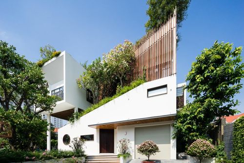 Ngôi nhà hình ruộng bậc thang phủ đầy cây xanh