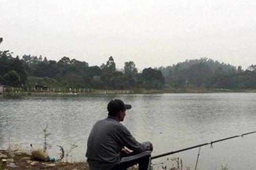 Người đàn ông bị lưỡi câu găm vào mắt khi đi câu cá