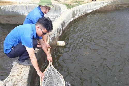 Điểm tựa cho thanh niên khởi nghiệp