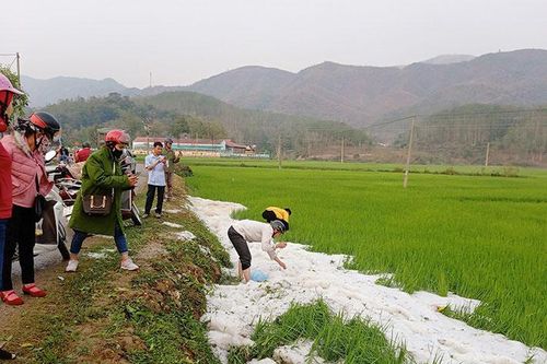 Mưa đá, giông lốc gây thiệt hại khoảng 1 tỷ đồng