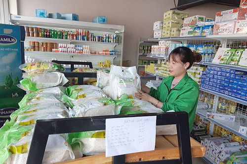 Liên kết trong phát triển nông nghiệp còn hạn chế