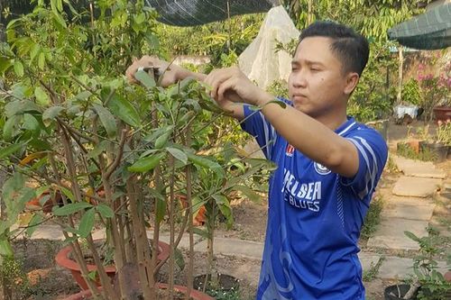 Hỗ trợ thanh niên phát triển kinh tế qua các mô hình, tổ hợp tác