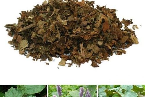 Bài thuốc trị chứng thấp ôn