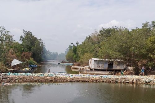 Cà Mau: Nhiều cống ngăn mặn bị rò rỉ