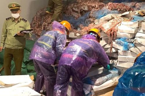 Phát hiện 72 tấn lòng lợn bốc mùi chờ đem đi tiêu thụ