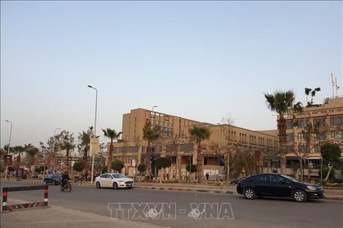 Dịch COVID-19: Cộng đồng người Việt tại Ai Cập đoàn kết, khắc phục khó khăn