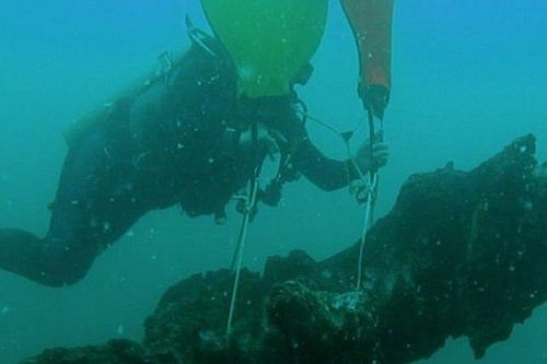 Khu rừng 60.000 năm tuổi nguyên vẹn dưới đáy biển
