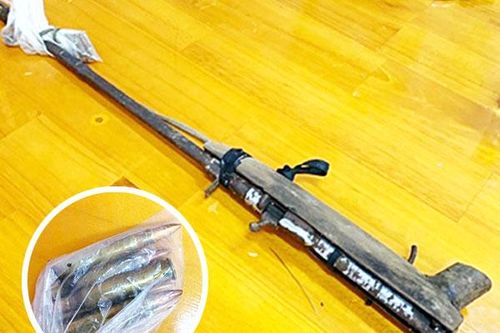 Tăng cường các giải pháp giữ rừng bền vững