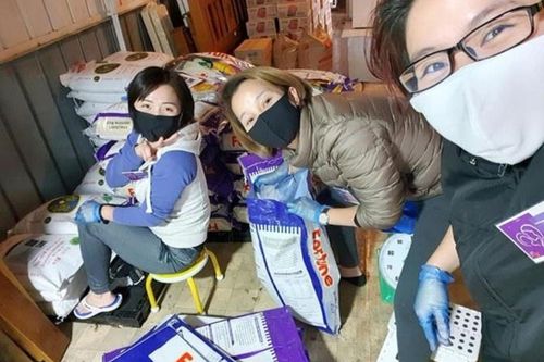 Nhóm người Việt tại Australia tặng hàng nghìn suất ăn cho đồng hương