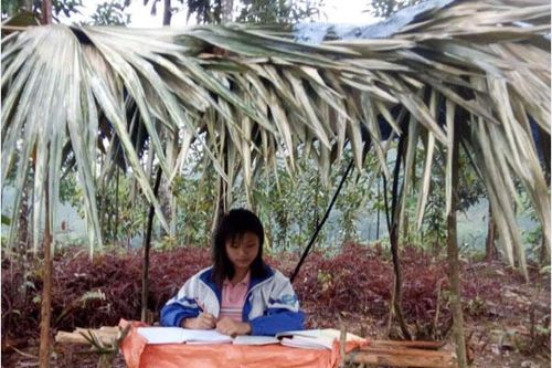 Xúc động những học sinh dựng lều học trực tuyến trong mùa dịch