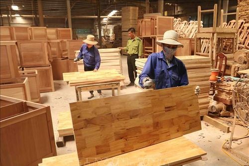 12 sản phẩm có thể bị điều tra phòng vệ thương mại, gian lận xuất xứ