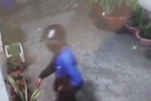 Clip: Kẻ trộm may mắn khi vượt rào đột nhập trộm lan rừng quý hiếm không gặp chó béc giê