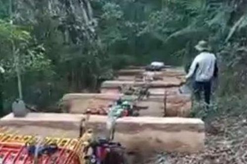 Kon Tum: Cơ quan chức năng bắt vụ vận chuyển gỗ trong đêm