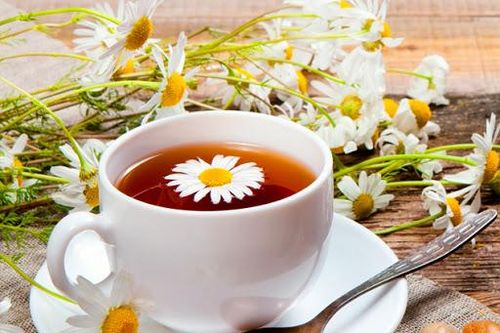 7 loại trà thảo dược hổ trợ trị ôn dịch lây nhiễm qua đường hô hấp
