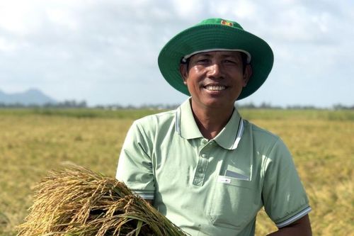 Đạm Cà Mau – Đồng hành cùng nông dân trên từng mảnh vườn, thửa ruộng