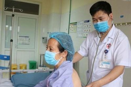 Người phụ nữ Quảng Ninh nguy kịch vì bị ong vò vẽ tấn công