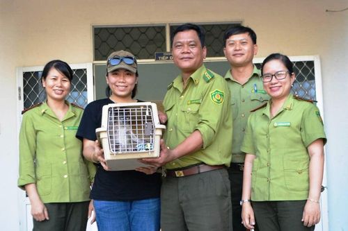 Vượt hơn 1.000 km vào Bình Định cứu hộ cá thể tê tê Java và voọc chà vá chân xám