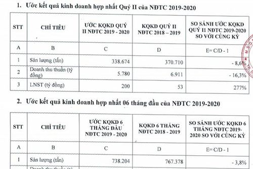 Chỉ sau 6 tháng Hoa Sen thực hiện được 95% mục tiêu lợi nhuận năm