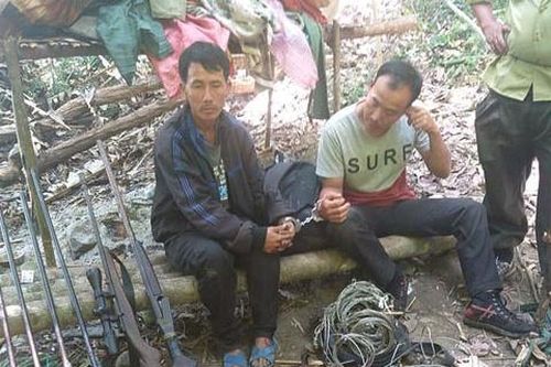 Bắt giữ nhóm săn trộm chuyên nghiệp ở Vườn Quốc gia Chư Yang Sin