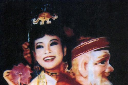 NSND Đàm Liên, ngôi sao sáng vừa tắt