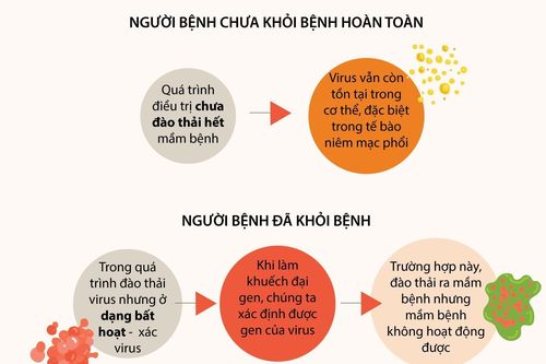 Vì sao bệnh nhân dương tính trở lại sau khi được công bố khỏi bệnh