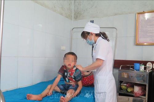 Bốn trẻ nhỏ bị ngộ độc do tự nướng thịt cóc để ăn
